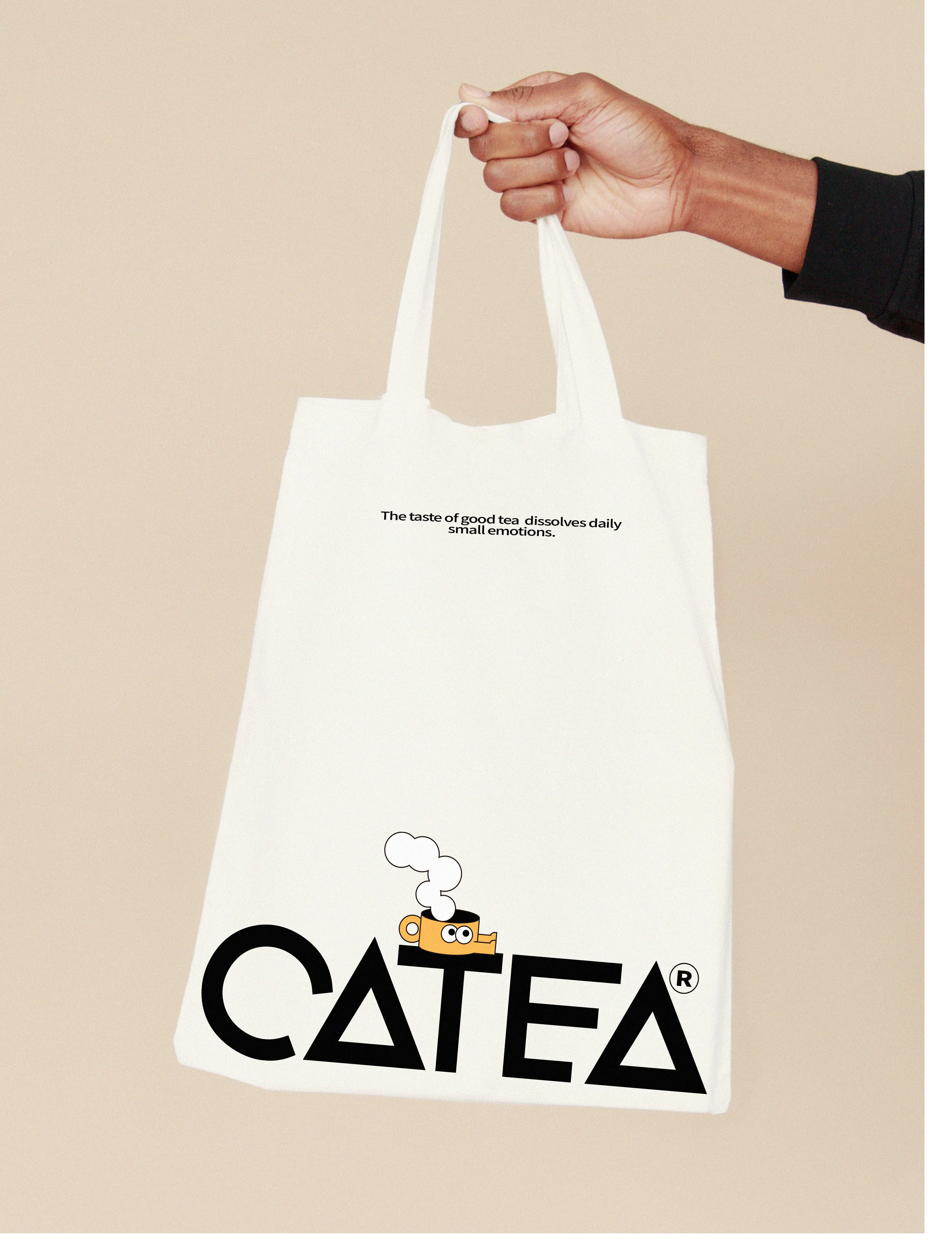 CATEA-17